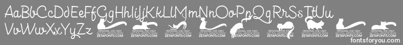 Kittenslantmonolinetrial Font – White Fonts on Gray Background