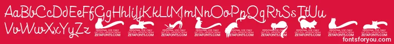 Kittenslantmonolinetrial Font – White Fonts on Red Background