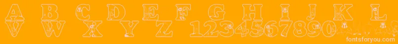 LmsAcmeUniverstityGraduates Font – Pink Fonts on Orange Background