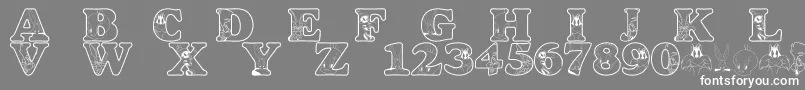フォントLmsAcmeUniverstityGraduates – 灰色の背景に白い文字