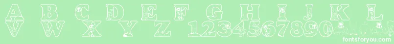 フォントLmsAcmeUniverstityGraduates – 緑の背景に白い文字