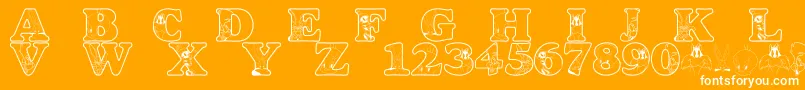LmsAcmeUniverstityGraduates Font – White Fonts on Orange Background