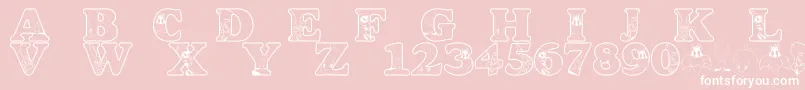 LmsAcmeUniverstityGraduates Font – White Fonts on Pink Background