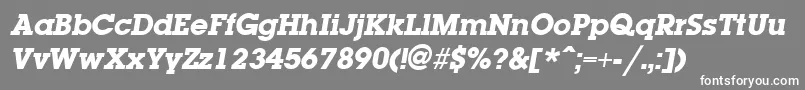 フォントLaplandExtraboldItalic – 灰色の背景に白い文字