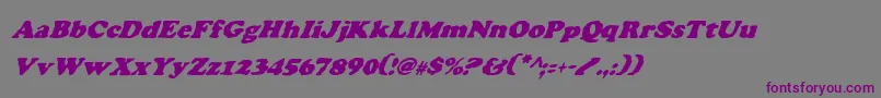 フォントCharlemagneCondensedItalic – 紫色のフォント、灰色の背景