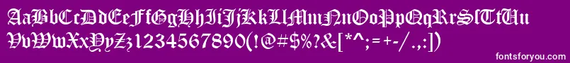 OldblackletterRegular Font – White Fonts on Purple Background