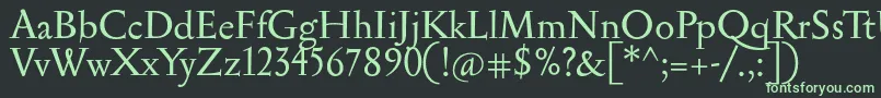 フォントSerapion – 黒い背景に緑の文字