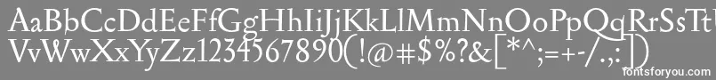 Serapion Font – White Fonts on Gray Background
