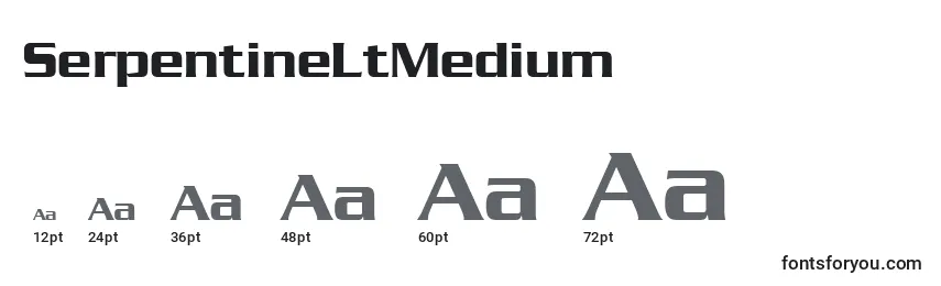 Размеры шрифта SerpentineLtMedium