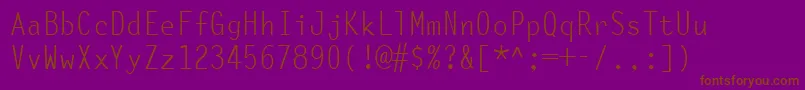 OcelotMonowidth Font – Brown Fonts on Purple Background