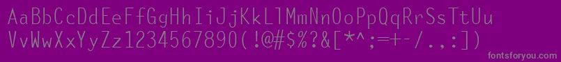 Fonte OcelotMonowidth – fontes cinzas em um fundo violeta