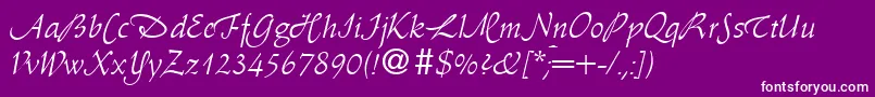 Шрифт AmaryllisswashRegularDb – белые шрифты на фиолетовом фоне