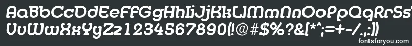 フォントDesireebeckermediumItalic – 白い文字