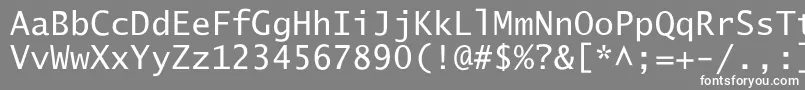 フォントLucidaSansTyp – 灰色の背景に白い文字