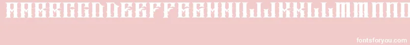 JakejarkorIngobernable Font – White Fonts on Pink Background