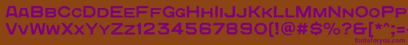 Quadratgroteskc Font – Purple Fonts on Brown Background