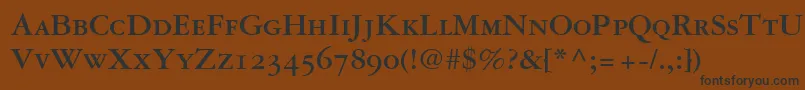 GaramondRepriseOldstyleSsiBoldSmallCaps Font – Black Fonts on Brown Background