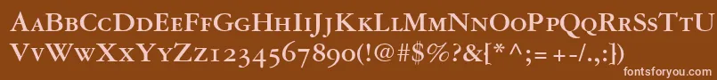 More about GaramondRepriseOldstyleSsiBoldSmallCaps Font GaramondRepriseOldstyleSsiBoldSmallCaps Font – Pink Fonts on Brown Background