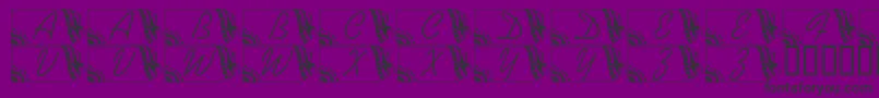 LmsSecuredNation Font – Black Fonts on Purple Background