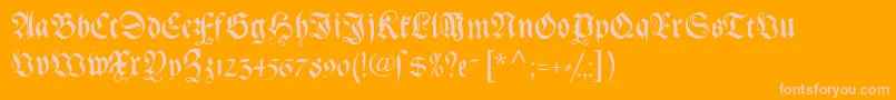 Gebetbuchfraktur Font – Pink Fonts on Orange Background