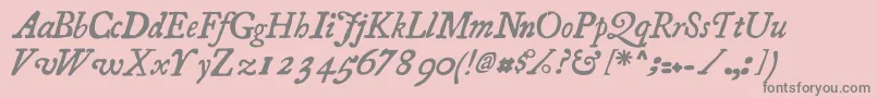 Шрифт Essays1743 Italic – серые шрифты на розовом фоне