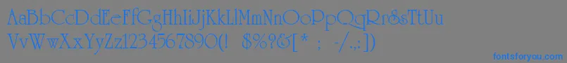 UniversityLtRoman Font – Blue Fonts on Gray Background