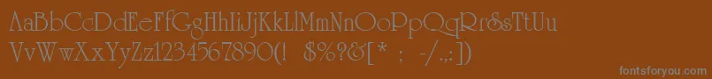 UniversityLtRoman Font – Gray Fonts on Brown Background