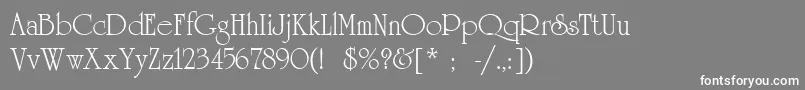 UniversityLtRoman Font – White Fonts on Gray Background