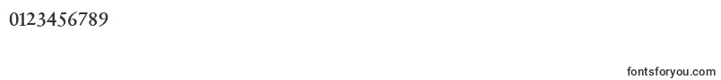 SabonnextLtRegularAlternate-Schriftart – Schriften für Zahlen und Nummern