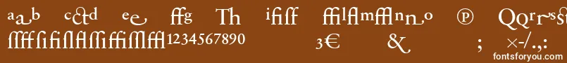 SabonnextLtRegularAlternate Font – White Fonts on Brown Background