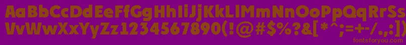 Plakatr Font – Brown Fonts on Purple Background