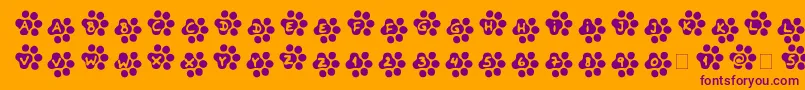 Catty Font – Purple Fonts on Orange Background