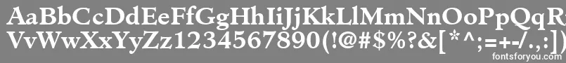 フォントClericSsiBold – 灰色の背景に白い文字