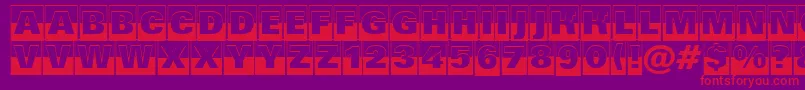 Grotic4 Font – Red Fonts on Purple Background