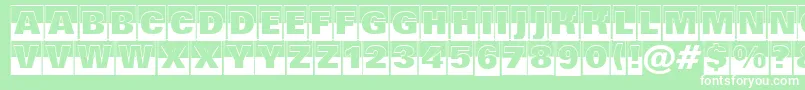 Grotic4 Font – White Fonts on Green Background