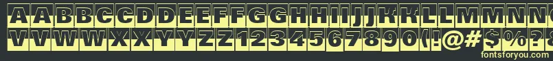 Grotic4 Font – Yellow Fonts on Black Background