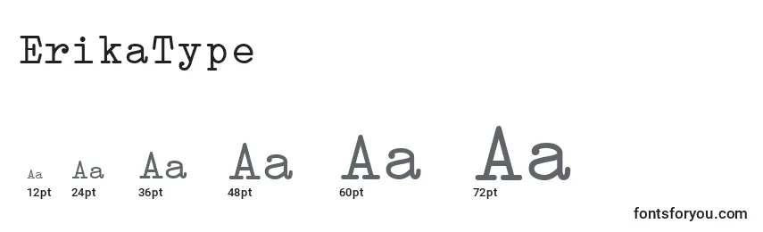 Размеры шрифта ErikaType