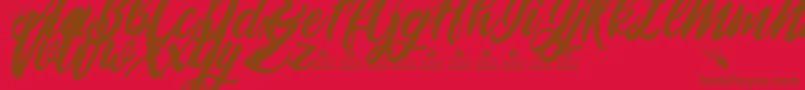 BlowupPersonalUse Font – Brown Fonts on Red Background