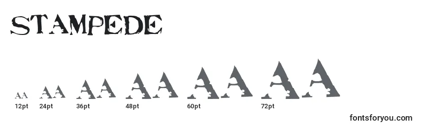 Размеры шрифта Stampede