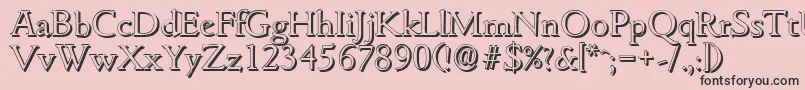 GouditashadowLightRegular Font – Black Fonts on Pink Background