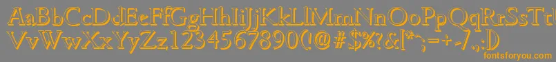 GouditashadowLightRegular Font – Orange Fonts on Gray Background