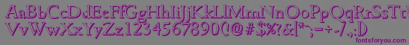 GouditashadowLightRegular Font – Purple Fonts on Gray Background