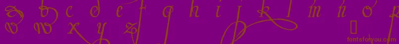 Tr ffy Font – Brown Fonts on Purple Background