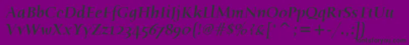 HumanaSerifItcMediumItalic Font – Black Fonts on Purple Background