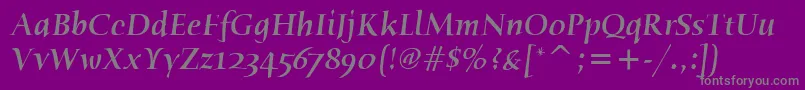 HumanaSerifItcMediumItalic-Schriftart – Graue Schriften auf violettem Hintergrund