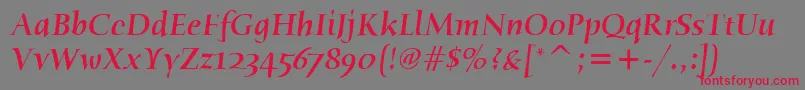 フォントHumanaSerifItcMediumItalic – 赤い文字の灰色の背景
