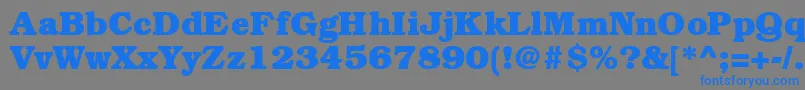 BookmanheavyRegular Font – Blue Fonts on Gray Background