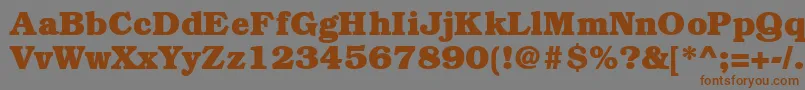 BookmanheavyRegular Font – Brown Fonts on Gray Background