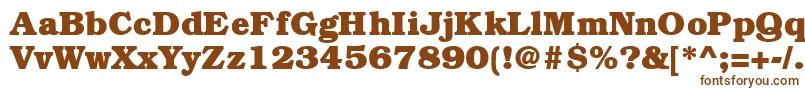 BookmanheavyRegular Font – Brown Fonts on White Background