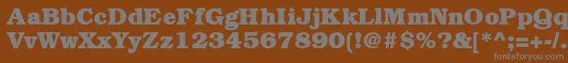 BookmanheavyRegular Font – Gray Fonts on Brown Background